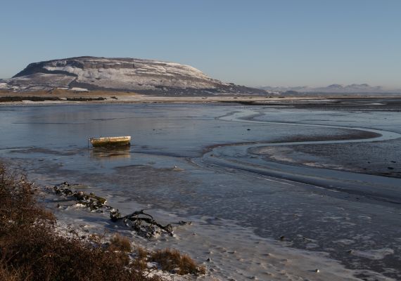 Ballisodare bay (sligo) in winter (1)