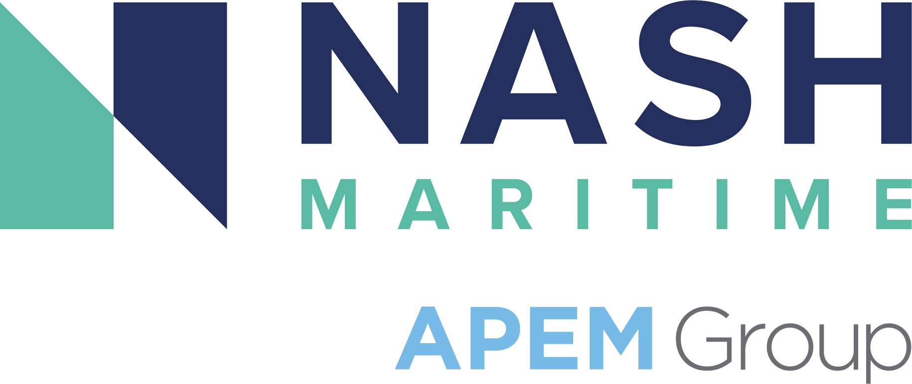 Nash apem group logo col